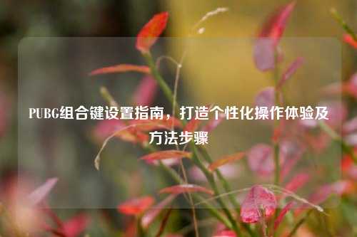 PUBG组合键设置指南，打造个性化操作体验及方法步骤