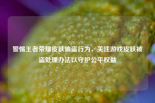警惕王者荣耀皮肤偷盗行为,关注游戏皮肤被盗处理办法以守护公平权益