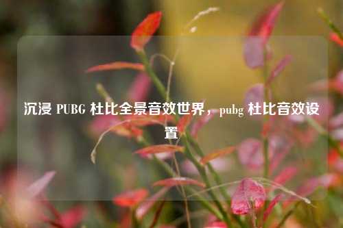 沉浸 PUBG 杜比全景音效世界，pubg 杜比音效设置