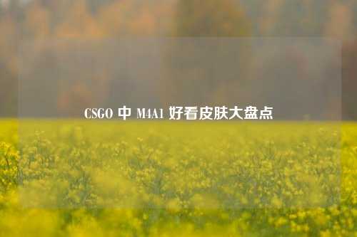 CSGO 中 M4A1 好看皮肤大盘点