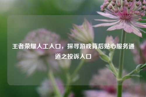 王者荣耀人工入口,探寻游戏背后贴心服务通道之投诉入口