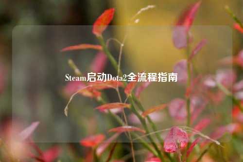 Steam启动Dota2全流程指南