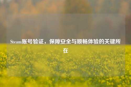 Steam账号验证，保障安全与顺畅体验的关键所在