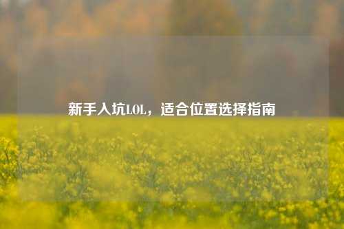 新手入坑LOL,适合位置选择指南