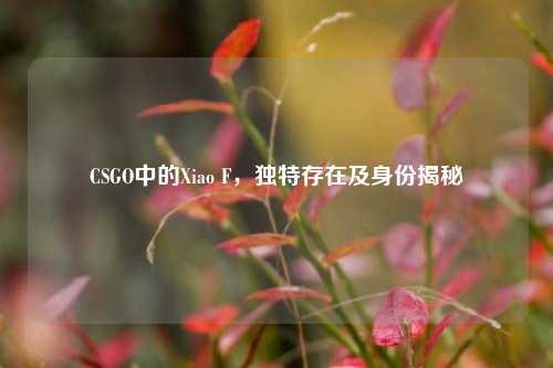 CSGO中的Xiao F,独特存在及身份揭秘