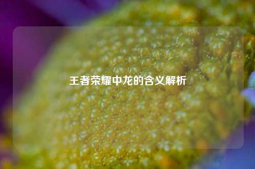 王者荣耀中龙的含义解析