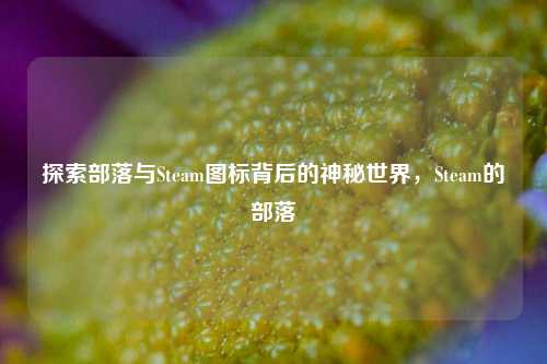 探索部落与Steam图标背后的神秘世界,Steam的部落
