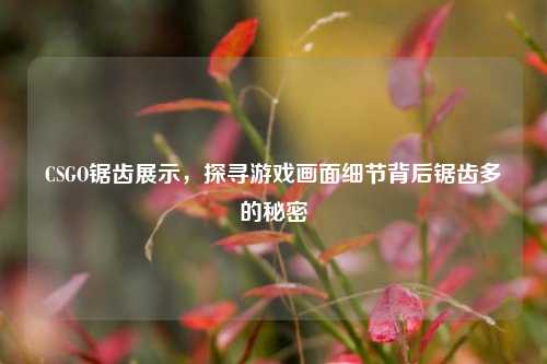 CSGO锯齿展示,探寻游戏画面细节背后锯齿多的秘密