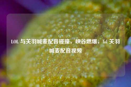 LOL 与关羽喊麦配音碰撞,峡谷燃爆,lol 关羽喊麦配音视频