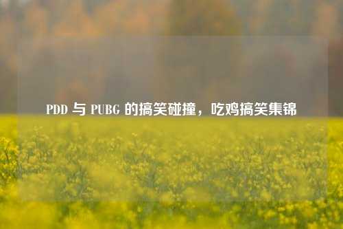 PDD 与 PUBG 的搞笑碰撞,吃鸡搞笑集锦