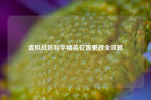 虚拟战区和平精英位置更改全攻略