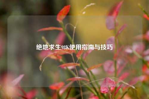 绝地求生98K使用指南与技巧