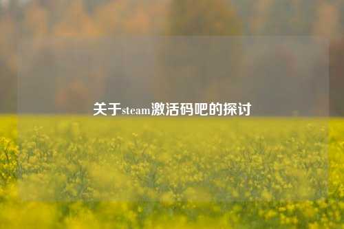 关于steam激活码吧的探讨