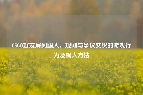 CSGO好友房间踢人,规则与争议交织的游戏行为及踢人方法