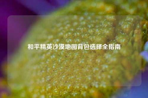 和平精英沙漠地图背包选择全指南