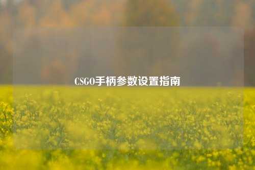 CSGO手柄参数设置指南