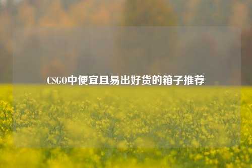 CSGO中便宜且易出好货的箱子推荐