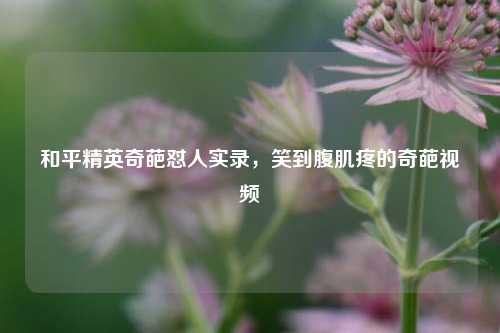 和平精英奇葩怼人实录,笑到腹肌疼的奇葩视频