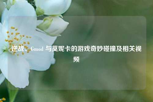 逆战、Gmod 与莫妮卡的游戏奇妙碰撞及相关视频