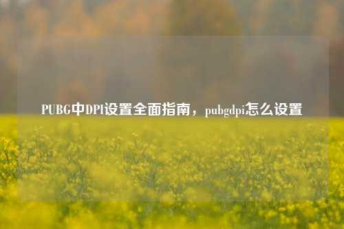 PUBG中DPI设置全面指南，pubgdpi怎么设置