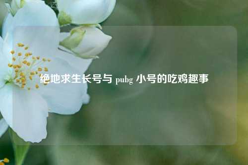 绝地求生长号与 pubg 小号的吃鸡趣事