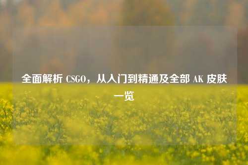 全面解析 CSGO,从入门到精通及全部 AK 皮肤一览
