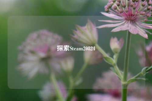 探索Steam20824