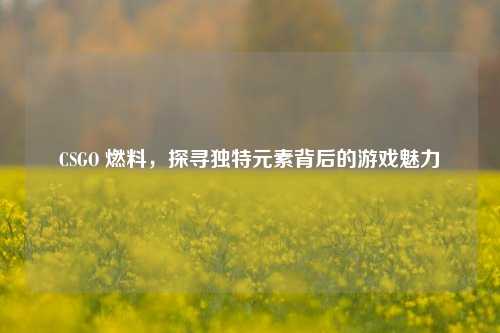 CSGO 燃料,探寻独特元素背后的游戏魅力
