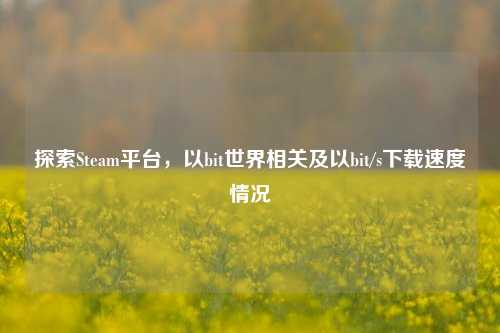 探索Steam平台,以bit世界相关及以bit/s下载速度情况