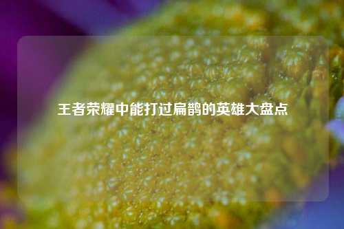 王者荣耀中能打过扁鹊的英雄大盘点