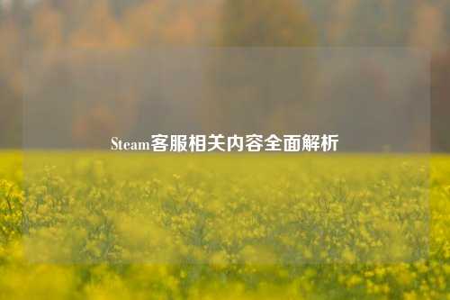 Steam客服相关内容全面解析