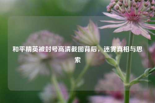 和平精英被封号高清截图背后,迷雾真相与思索