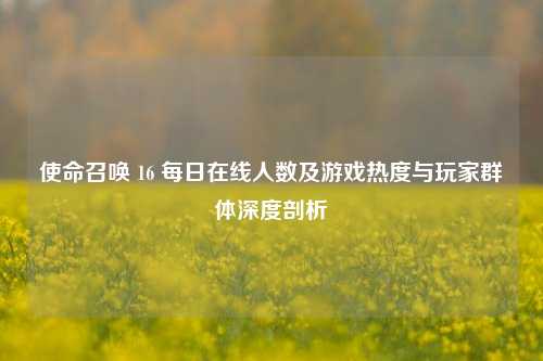 使命召唤 16 每日在线人数及游戏热度与玩家群体深度剖析