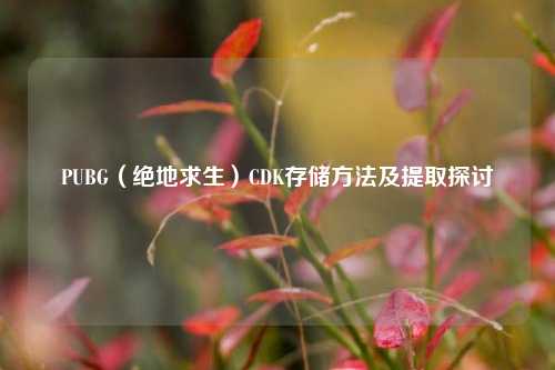 PUBG(绝地求生)CDK存储方法及提取探讨