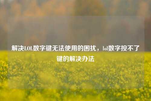 解决LOL数字键无法使用的困扰,lol数字按不了键的解决办法