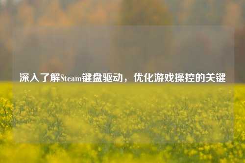 深入了解Steam键盘驱动,优化游戏操控的关键