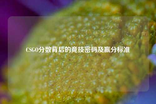 CSGO分数背后的竞技密码及赢分标准