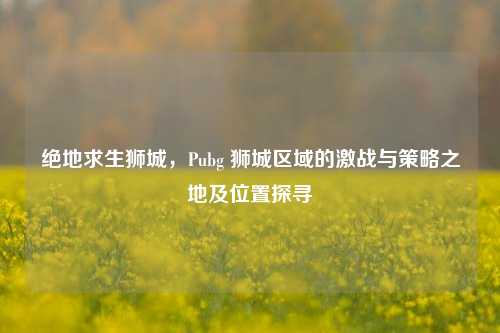 绝地求生狮城，Pubg 狮城区域的激战与策略之地及位置探寻