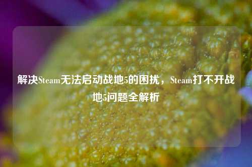 解决Steam无法启动战地5的困扰,Steam打不开战地5问题全解析