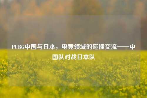 PUBG中国与日本,电竞领域的碰撞交流——中国队对战日本队