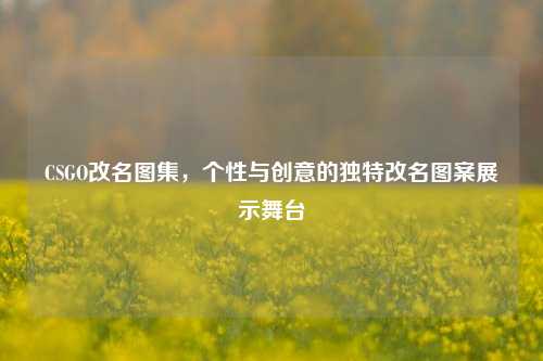 CSGO改名图集,个性与创意的独特改名图案展示舞台