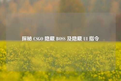 探秘 CSGO 隐藏 BOSS 及隐藏 UI 指令