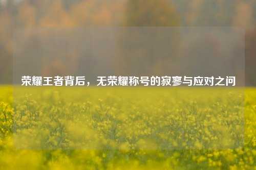 荣耀王者背后，无荣耀称号的寂寥与应对之问