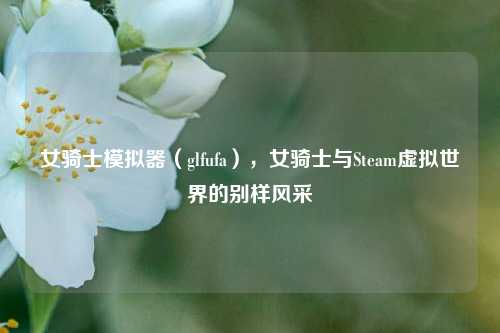 女骑士模拟器(glfufa),女骑士与Steam虚拟世界的别样风采