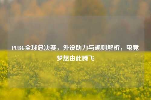 PUBG全球总决赛,外设助力与规则解析,电竞梦想由此腾飞