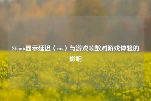 Steam显示延迟（ms）与游戏帧数对游戏体验的影响