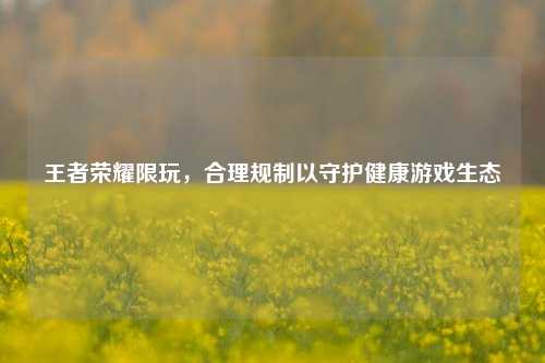 王者荣耀限玩,合理规制以守护健康游戏生态