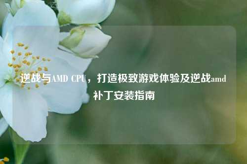 逆战与AMD CPU,打造极致游戏体验及逆战amd补丁安装指南