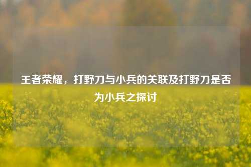 王者荣耀,打野刀与小兵的关联及打野刀是否为小兵之探讨