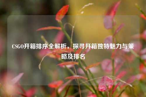CSGO开箱排序全解析,探寻开箱独特魅力与策略及排名